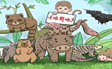 拒绝野味从我做起演讲稿精选6篇(