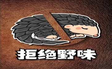 拒绝野味从我做起演讲稿4篇(