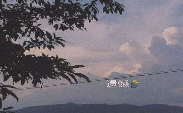 青春不留遗憾演讲稿最新5篇(青春无悔，演讲稿精选5篇)