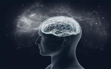 学生信息安全意识的培养方案6篇(