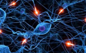 意识形态工作情况自查报告5篇(深度探析：5篇意识形态工作情况自查报告)
