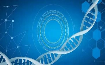 医学生自我鉴定范文参考7篇