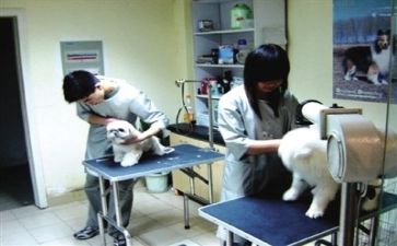 关于医院个人述职报告5篇(医院个人述职报告：精益求精，匠心独运)