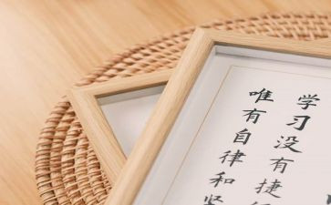 计算机基础应用心得体会6篇