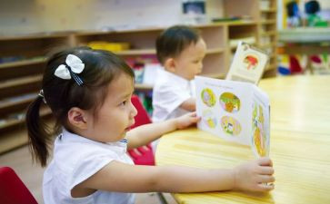 幼儿园教学活动方案参考6篇