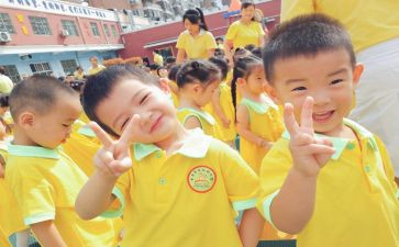 幼儿新教师述职报告范文6篇