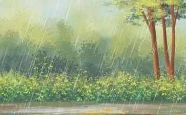 秋天的雨教案反思6篇