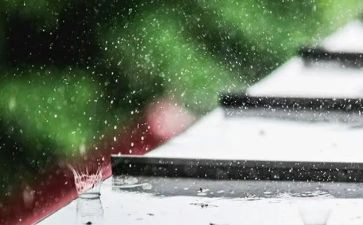 中班语言活动春雨教案6篇