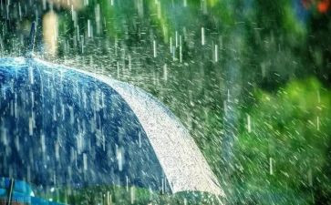 清明的雨作文参考6篇(清明时节，雨中的思绪)