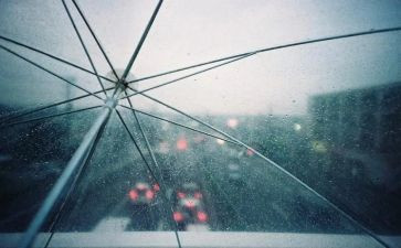 《雨后》优秀教案5篇(《雨后》教案集锦：5篇优秀教案助你成为文辑达人！)