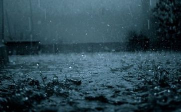 幼儿园大班雨的教案精选7篇