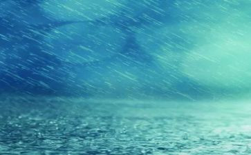 读关于雨的读后感6篇