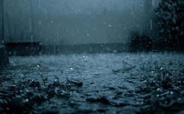 秋雨绵绵作文模板8篇(秋雨绵绵：8篇文辑，细腻描绘秋天的美景)