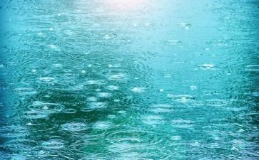 秋天的雨大班教案精选6篇