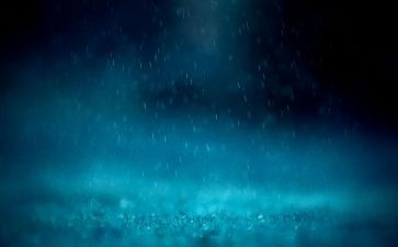 《秋天的雨》大班教案模板7篇