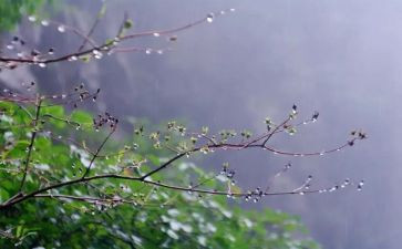 读关于雨的读后感优质6篇