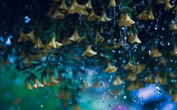《雷雨》读后感7篇()