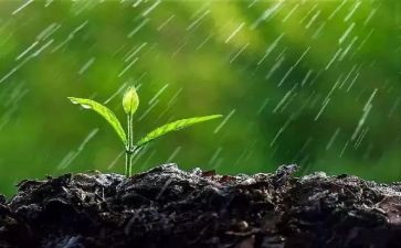 幼儿园大班雨的教案通用8篇