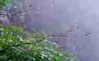 读关于雨的读后感优质6篇