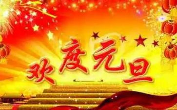 2024元旦幼儿园活动方案5篇