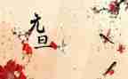 2024年元旦活动方案策划推荐5篇