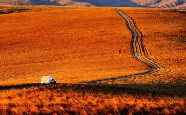 远方的海作文优秀6篇