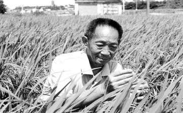 袁隆平的事迹最新5篇(袁隆平：杂交水稻之父的辉煌成就)