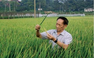 袁隆平,演讲稿8篇