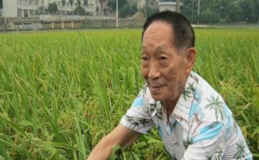 袁隆平的事迹5篇(袁隆平：杂交水稻之父的传奇人生)