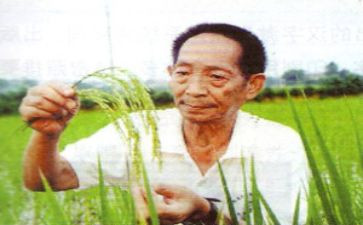 袁隆平的事迹参考8篇(袁隆平：杂交水稻之父的光辉传奇)
