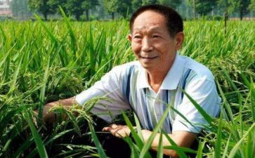 关于袁隆平的演讲稿5篇