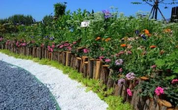 幼儿园艺术节活动方案优质7篇