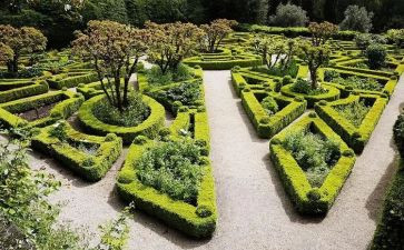 幼儿园艺术节活动方案最新7篇