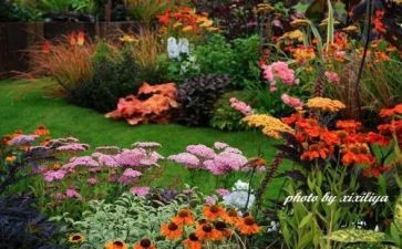 幼儿园艺术节活动方案参考6篇