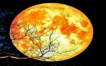 月全食的观后感8篇