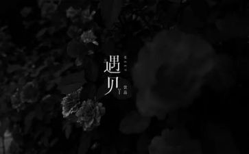 遇见爱,作文模板8篇
