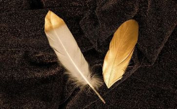 羽毛球活动总结通用8篇