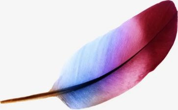 羽毛球活动总结参考8篇