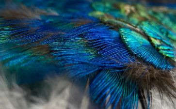 羽毛球团活动总结参考7篇