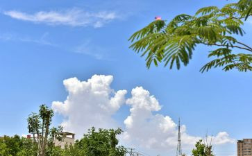 《看云识天气》教案优秀8篇(《天空的密码》：8篇精选《看云识天气》教案)