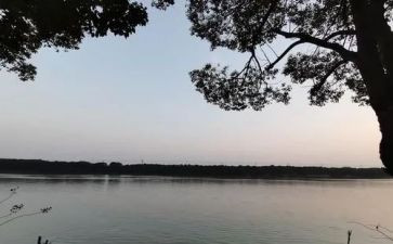 与你一起走过的日子作文推荐7篇(