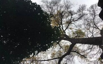 与你一起走过的日子作文模板6篇(
