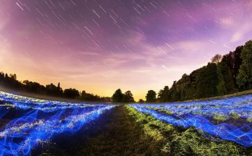 再也没有——作文5篇