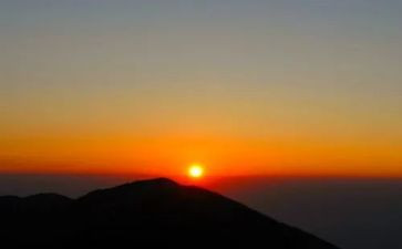 培训早教的心得体会精选5篇