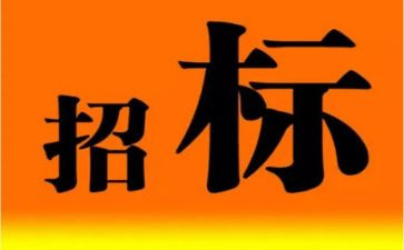 招标公司员工年终总结7篇