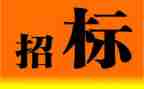招标公司员工年终总结7篇