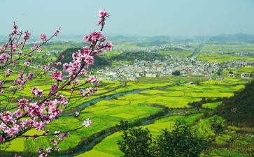 谈乡村振兴心得体会优秀6篇(乡村振兴：智慧探索与实践)
