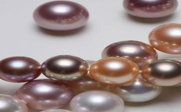 《黑珍珠》读后感8篇