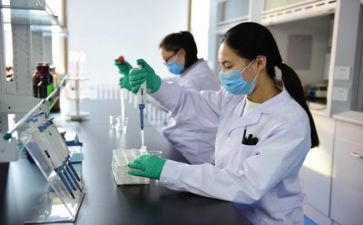 质量月安全活动总结8篇