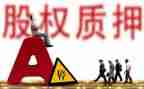担保质押合同优质7篇